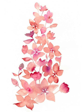 Blossom Falls I Black Ornate Wood Framed Art Print with Double Matting by Popp, Grace