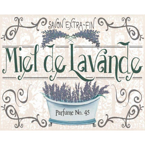 Vintage Soap Design I Black Modern Wood Framed Art Print with Double Matting by Popp, Grace