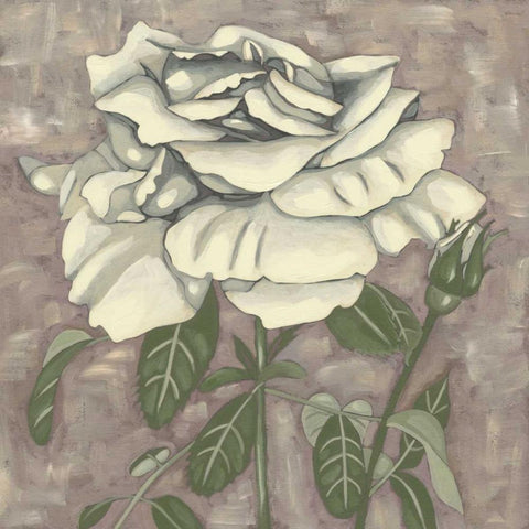 Silver Rose I White Modern Wood Framed Art Print with Double Matting by Zarris, Chariklia