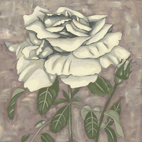 Silver Rose I Black Modern Wood Framed Art Print with Double Matting by Zarris, Chariklia