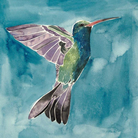 Watercolor Hummingbird I White Modern Wood Framed Art Print with Double Matting by Popp, Grace