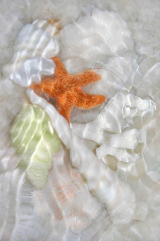 Underwater Light Waves I Black Ornate Wood Framed Art Print with Double Matting by Robertson, Leda