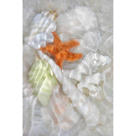 Underwater Light Waves I White Modern Wood Framed Art Print by Robertson, Leda