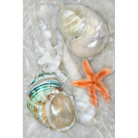 Underwater Light Waves II Black Modern Wood Framed Art Print with Double Matting by Robertson, Leda