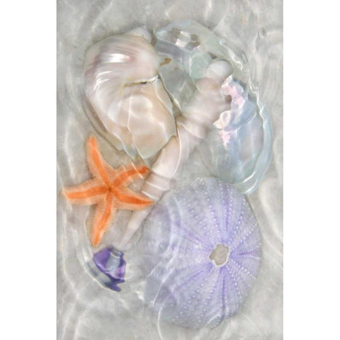 Underwater Light Waves III White Modern Wood Framed Art Print by Robertson, Leda