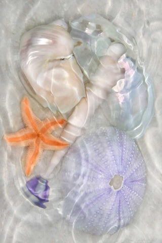 Underwater Light Waves III Black Ornate Wood Framed Art Print with Double Matting by Robertson, Leda