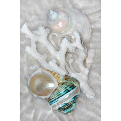 Underwater Light Waves IV White Modern Wood Framed Art Print by Robertson, Leda