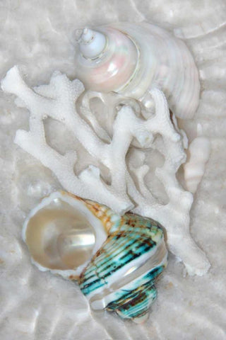 Underwater Light Waves IV Black Ornate Wood Framed Art Print with Double Matting by Robertson, Leda