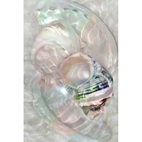 Underwater Light Waves V White Modern Wood Framed Art Print by Robertson, Leda