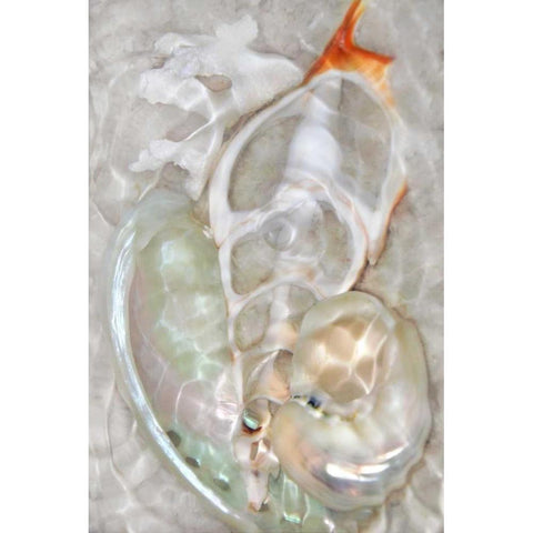 Underwater Light Waves VIII Gold Ornate Wood Framed Art Print with Double Matting by Robertson, Leda