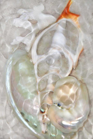 Underwater Light Waves VIII White Modern Wood Framed Art Print with Double Matting by Robertson, Leda