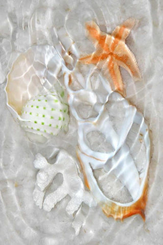 Underwater Light Waves IX Black Ornate Wood Framed Art Print with Double Matting by Robertson, Leda