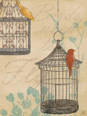 Uncaged I Black Ornate Wood Framed Art Print with Double Matting by Reynolds, Jade