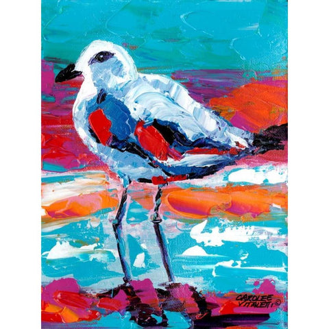 Seaside Birds I Black Modern Wood Framed Art Print with Double Matting by Vitaletti, Carolee