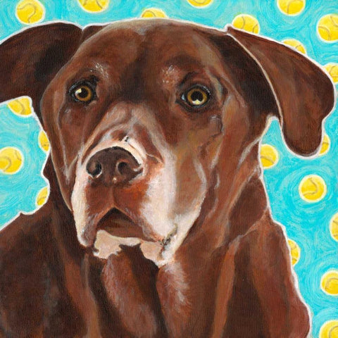 Dlynns Dogs - Get Your Ball Black Modern Wood Framed Art Print with Double Matting by Roll, Dylnn