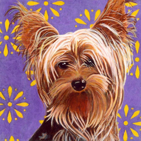 Dlynns Dogs - Ringo White Modern Wood Framed Art Print by Roll, Dylnn