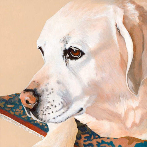 Dlynns Dogs - Shell White Modern Wood Framed Art Print with Double Matting by Roll, Dylnn