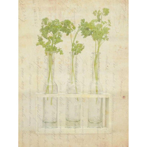 Herb Still Life I Black Modern Wood Framed Art Print by Orlov, Irena