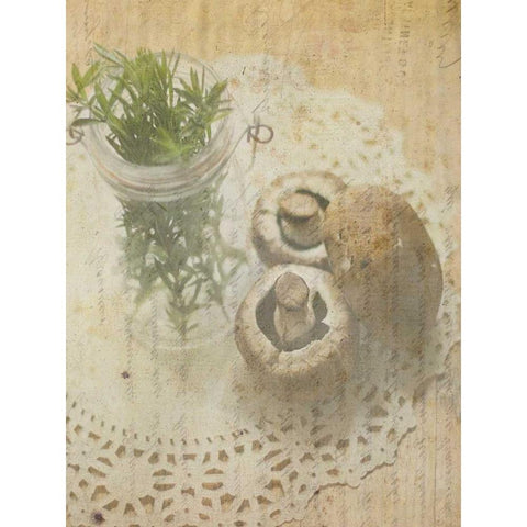 Herb Still Life IV White Modern Wood Framed Art Print by Orlov, Irena
