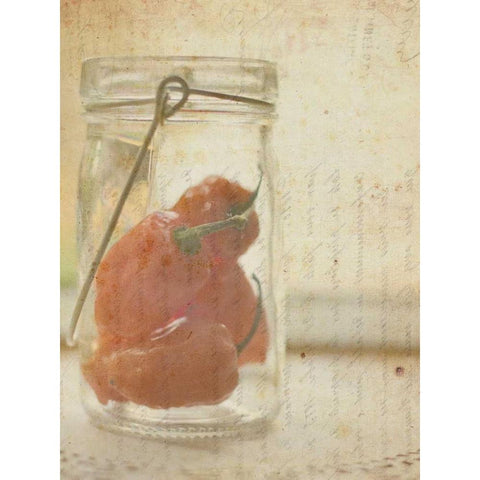 Herb Still Life V Gold Ornate Wood Framed Art Print with Double Matting by Orlov, Irena