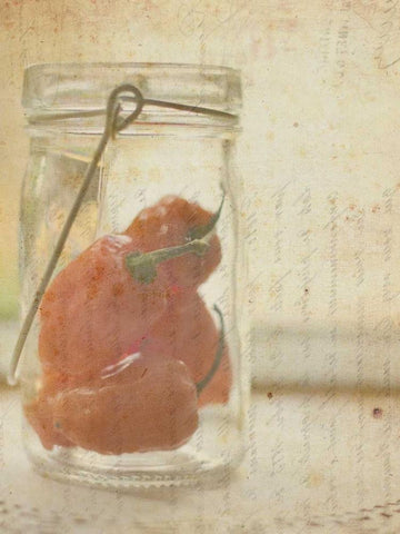 Herb Still Life V Black Ornate Wood Framed Art Print with Double Matting by Orlov, Irena