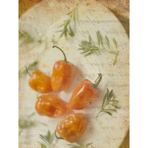 Herb Still Life VI White Modern Wood Framed Art Print by Orlov, Irena