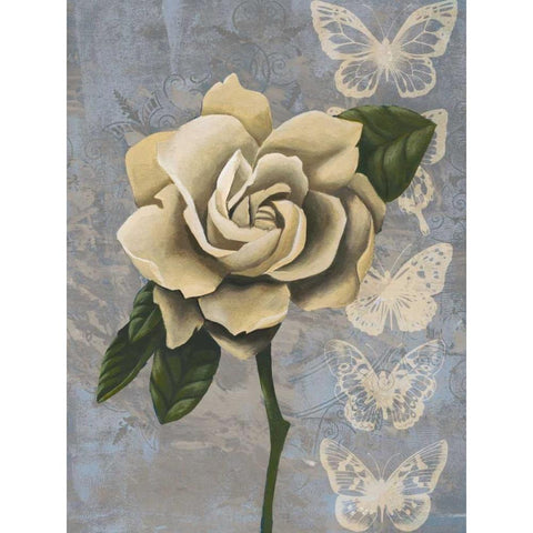 Blissful Gardenia I Black Modern Wood Framed Art Print with Double Matting by Popp, Grace