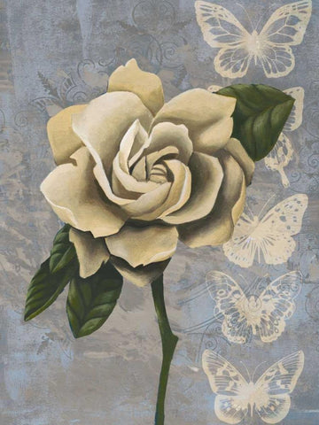 Blissful Gardenia I White Modern Wood Framed Art Print with Double Matting by Popp, Grace