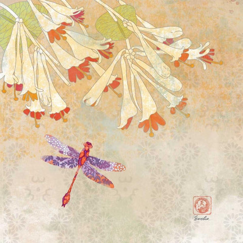 Dragonfly Lustre II White Modern Wood Framed Art Print with Double Matting by Evelia Designs