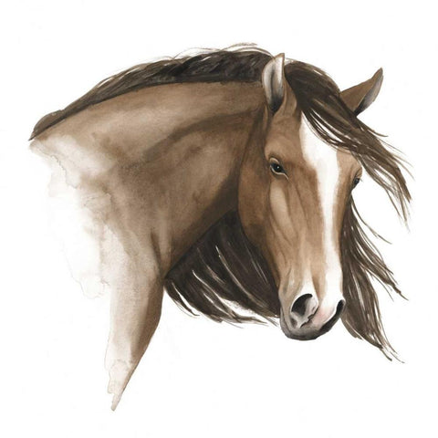 Wild Horse I White Modern Wood Framed Art Print by Popp, Grace