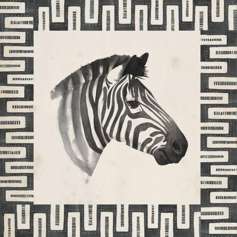 Safari Zebra I White Modern Wood Framed Art Print with Double Matting by Popp, Grace