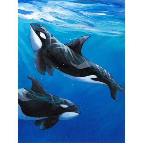 Under Sea Whales II Black Modern Wood Framed Art Print with Double Matting by OToole, Tim