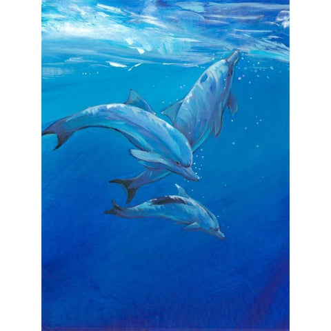 Under Sea Dolphins Black Modern Wood Framed Art Print with Double Matting by OToole, Tim