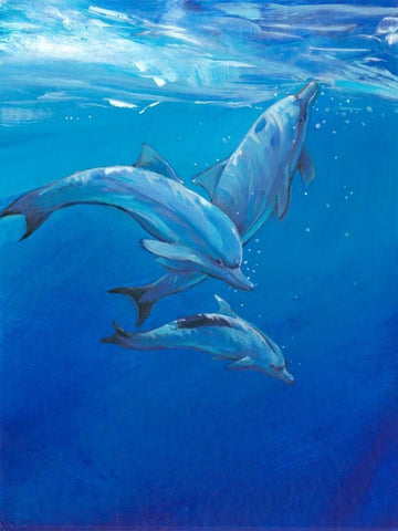 Under Sea Dolphins White Modern Wood Framed Art Print with Double Matting by OToole, Tim