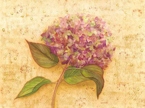 Hydrangea Love I Black Ornate Wood Framed Art Print with Double Matting by Russell, Wendy