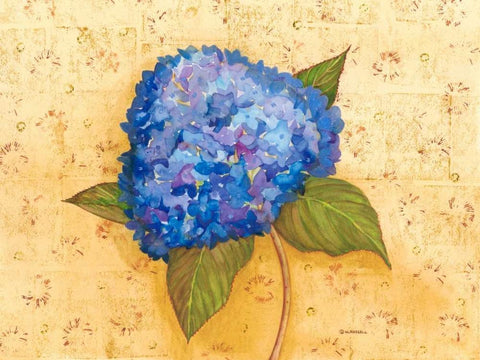 Hydrangea Love II White Modern Wood Framed Art Print with Double Matting by Russell, Wendy