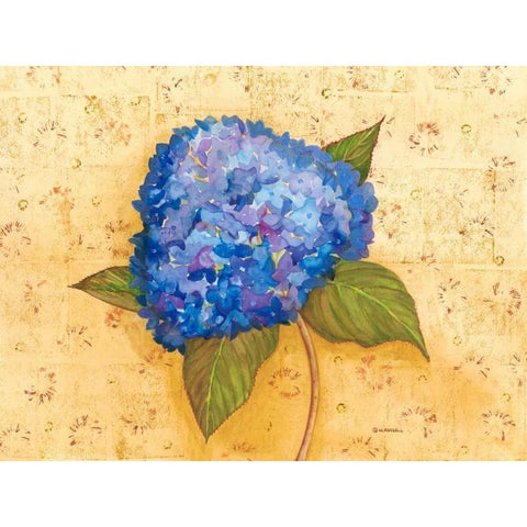 Hydrangea Love II Black Modern Wood Framed Art Print by Russell, Wendy