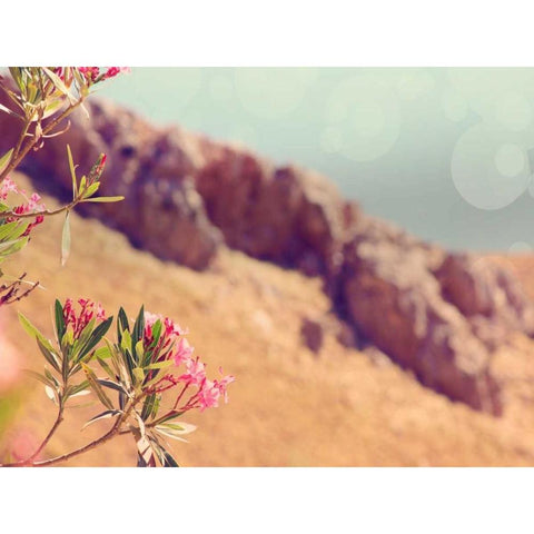 Flowers in Paradise I Black Modern Wood Framed Art Print with Double Matting by Coomes, Sylvia