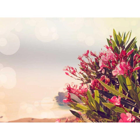 Flowers in Paradise II White Modern Wood Framed Art Print by Coomes, Sylvia