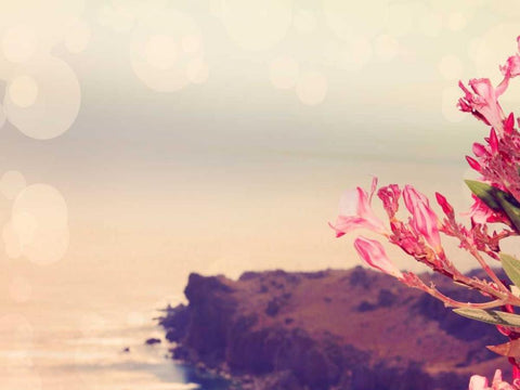 Flowers in Paradise III White Modern Wood Framed Art Print with Double Matting by Coomes, Sylvia