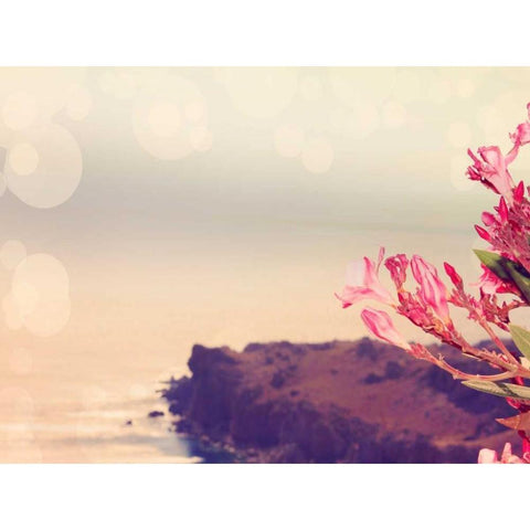 Flowers in Paradise III Black Modern Wood Framed Art Print by Coomes, Sylvia