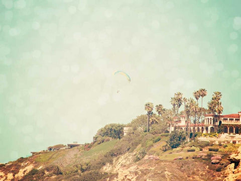 West Coast I Black Ornate Wood Framed Art Print with Double Matting by Coomes, Sylvia