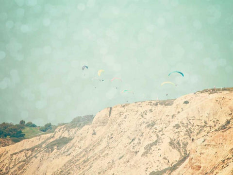 West Coast II Black Ornate Wood Framed Art Print with Double Matting by Coomes, Sylvia