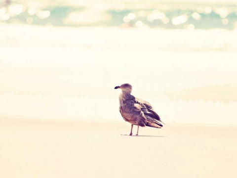 Go Left Black Ornate Wood Framed Art Print with Double Matting by Coomes, Sylvia