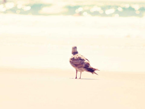 Go Right White Modern Wood Framed Art Print with Double Matting by Coomes, Sylvia