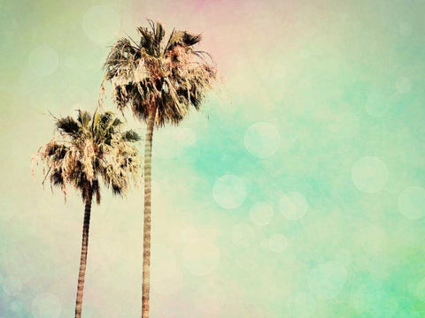 Palm Trees I White Modern Wood Framed Art Print with Double Matting by Coomes, Sylvia