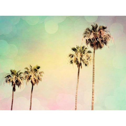 Palm Trees II White Modern Wood Framed Art Print by Coomes, Sylvia