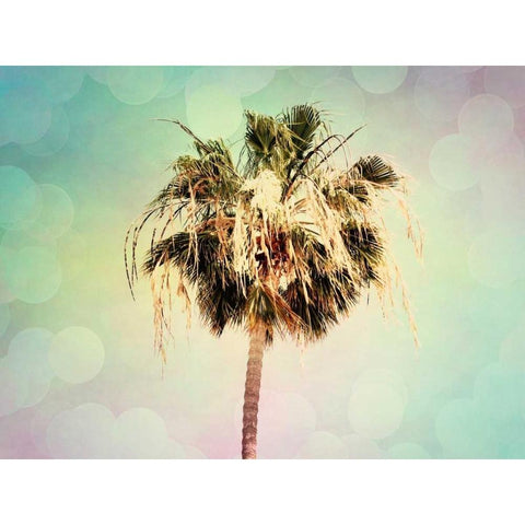 Palm Trees III Black Modern Wood Framed Art Print with Double Matting by Coomes, Sylvia