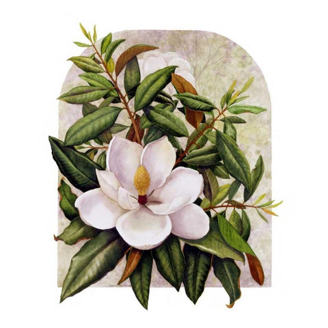 Magnolia Vignette Black Modern Wood Framed Art Print with Double Matting by Matcham, Marcia