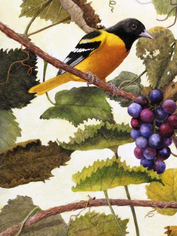 Golden Glow I White Modern Wood Framed Art Print with Double Matting by Matcham, Marcia